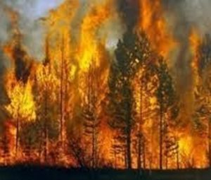 Мангал в полторы Белоруссии