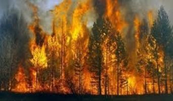 Мангал в полторы Белоруссии