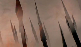 Мухи не ошибаются…