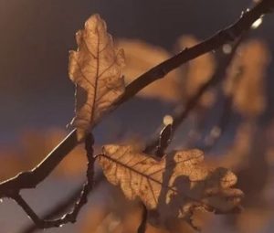 И наш черед близок…