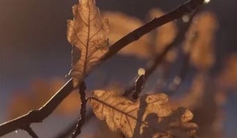 И наш черед близок…