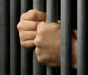 Свободу всем Невиновным