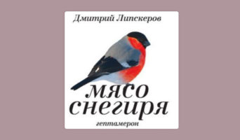 Не наша луна