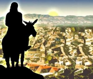 Покупаю осла