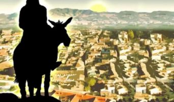 Покупаю осла