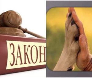 Прошу Госдуму рассмотреть закон