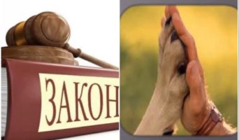 Прошу Госдуму рассмотреть закон