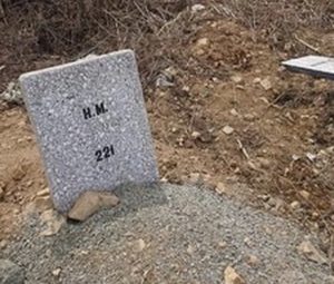 Вопрос на прямую линию с президентом