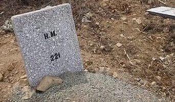 Вопрос на прямую линию с президентом