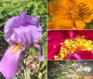 Поздравление