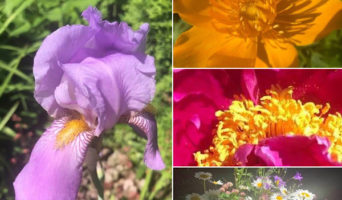 Поздравление