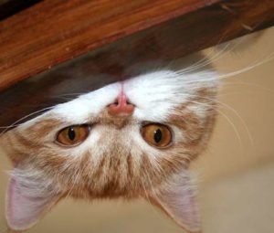 Что за люди!!!