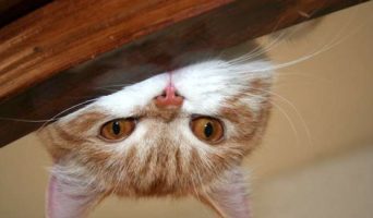 Что за люди!!!