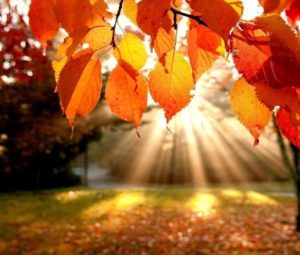 Так и с осенью…