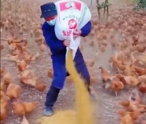 Сорок лет Чанчжоэ