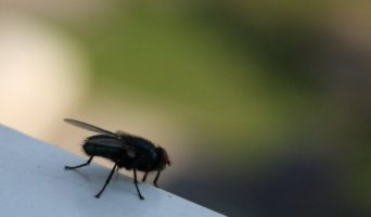 2-ое июля 2021 года